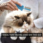 Foldable Grooming Comb for Dog, Cat, & Horse Tool, 1