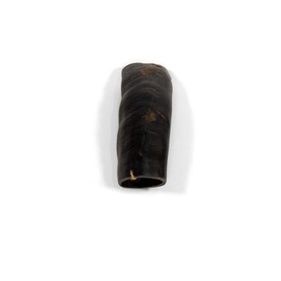 Premium Buffalo Horn Dog Chew, Medium
