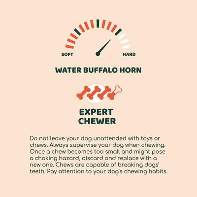 Premium Buffalo Horn Dog Chew, Medium