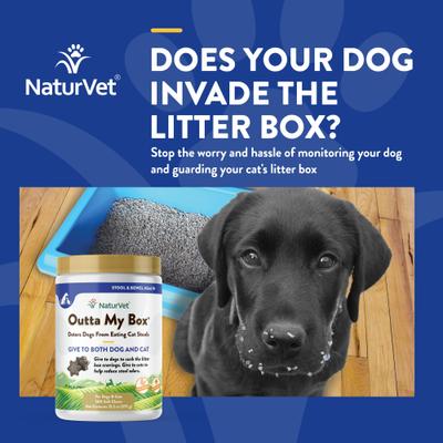 NaturVet, Outta My Box, masticables con ProBioStrive para ayudar a evitar que los perros coman heces de gatos, 500 unidades