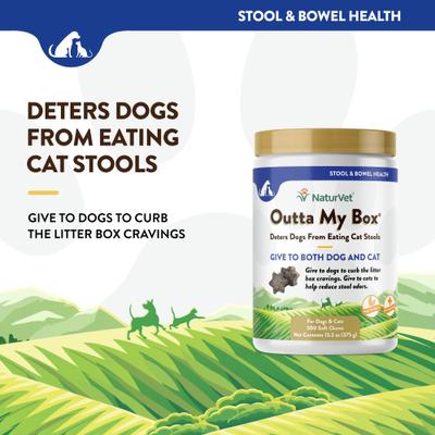 NaturVet, Outta My Box, masticables con ProBioStrive para ayudar a evitar que los perros coman heces de gatos, 500 unidades
