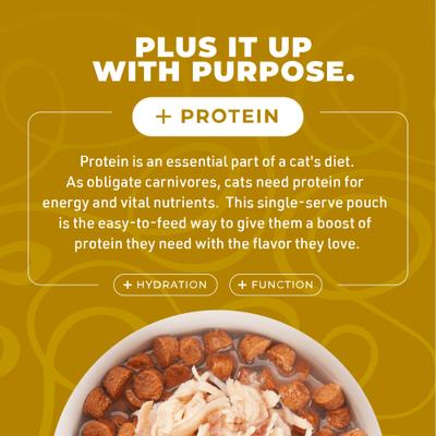 Born Carnivore Complements Chicken Recipe in Chicken Broth Grain-Free Wet Cat Food Topper, bolsa de 2.1 oz, caja de 12