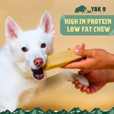 Yak & Cow Milk Chew Dog Treat, 1 count, Medium