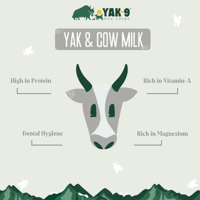 Yak & Cow Milk Chew Dog Treat, 1 count, Medium