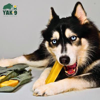 Golosina masticable para perros de leche de yak y vaca, 1 unidad, tamaño mediano