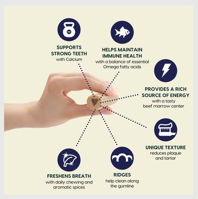 Fortify Brushless Toothpaste Large Dental Dog Treats, 18-oz bag