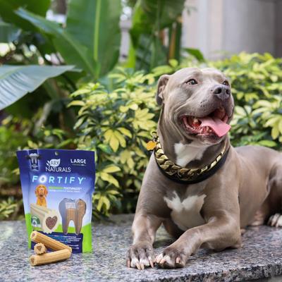 Fortify Brushless Toothpaste Large Dental Dog Treats, 18-oz bag