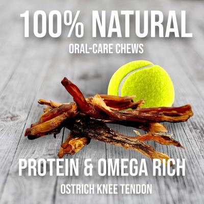 Chewy Ostrich Tendon Mix Dog Treats, 3-oz pouch