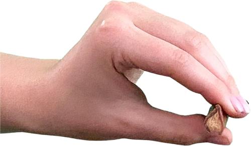 Smoked Super Bull Sticks 6-inch Dog Treats, 4 count