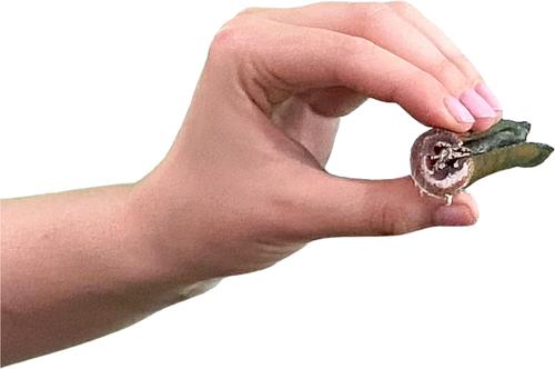 Smoked Super Bull Sticks 6-inch Dog Treats, 4 count