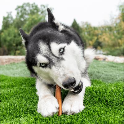 Smoked Super Bull Sticks 6-inch Dog Treats, 4 count