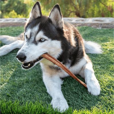 Smoked Super Bull Sticks 6-inch Dog Treats, 4 count