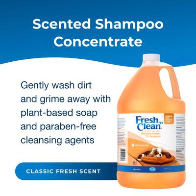 Fresh 'n Clean Moisturizing Dog Shampoo, Classic Fresh Scent, 15:1 Concentrate, 1-gal bottle