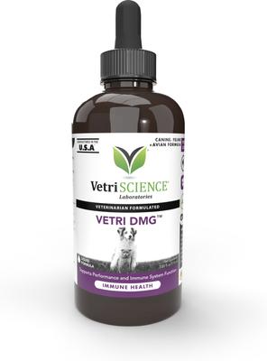 Vetri-DMG Liquid Immune Supplement for Dogs, Cats & Birds, 28-mL