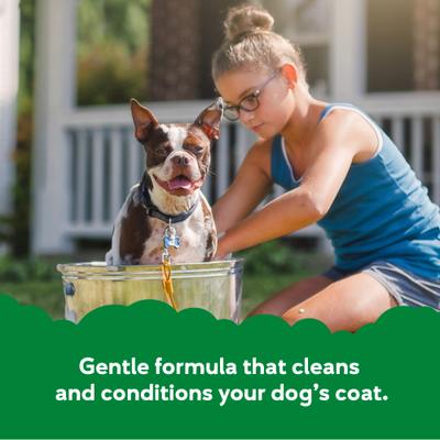 Bundle: Buddy Wash Relaxing Green Tea & Bergamot Dog Shampoo & Conditioner, 16-oz bottle + Frisco Rubber Duckie Dog & Cat Curry Brush