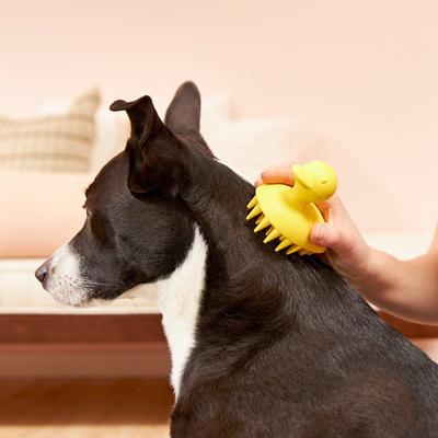 Bundle: Buddy Wash Relaxing Green Tea & Bergamot Dog Shampoo & Conditioner, 16-oz bottle + Frisco Rubber Duckie Dog & Cat Curry Brush