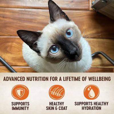 Bundle: Wellness CORE Signature Selects Shredded Boneless Chicken & Turkey Entree in Sauce + Boneless Chicken & Beef Entree in Sauce Canned Cat Food