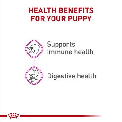 Canine Health Nutrition Puppy Appetite Stimulation Loaf in Sauce Wet Dog Food, 5.2-oz can, case of 12