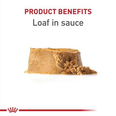 Canine Health Nutrition Puppy Appetite Stimulation Loaf in Sauce Wet Dog Food, 5.2-oz can, case of 12