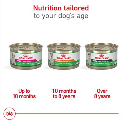 Canine Health Nutrition Puppy Appetite Stimulation Loaf in Sauce Wet Dog Food, 5.2-oz can, case of 12