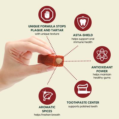 Protection+ Brushless Toothpaste Medium Dental Dog Treats, 60 count