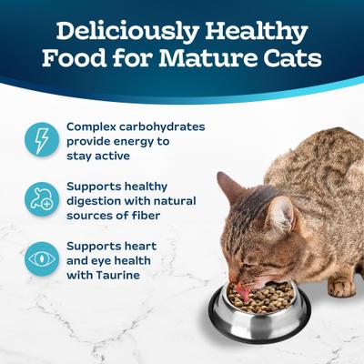 Bundle: Blue Buffalo Healthy Aging Chicken & Brown Rice Recipe Mature Dry Food + Tastefuls Chicken Entrée Mature Cats Pate Wet Cat Food