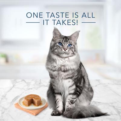 Bundle: Blue Buffalo Healthy Aging Chicken & Brown Rice Recipe Mature Dry Food + Tastefuls Chicken Entrée Mature Cats Pate Wet Cat Food
