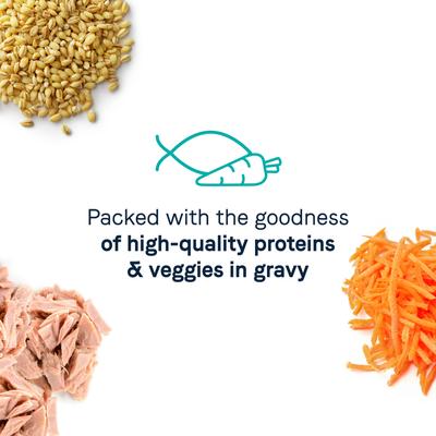 Bundle: CANIDAE Balanced Bowl Salmon & Sweet Potato Recipe in Gravy + Tuna & Carrots Recipe in Gravy Wet Cat Food