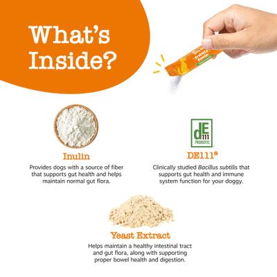 Probiotic Powder Pumpkin Flavored Gut Flora & Digestive Aid Supplement for Dogs, 30 count