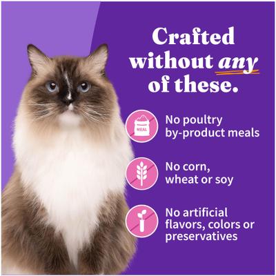 Adult Grain-Free Pate Turkey Recipe Wet Cat Food, 5.5-oz can, case of 12