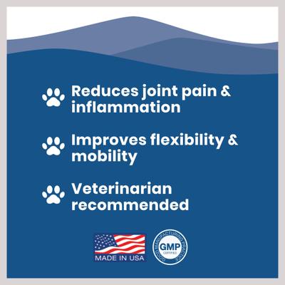 Extra Strength Glucosamine Hip & Joint Supplement for Dogs, 16-fl oz