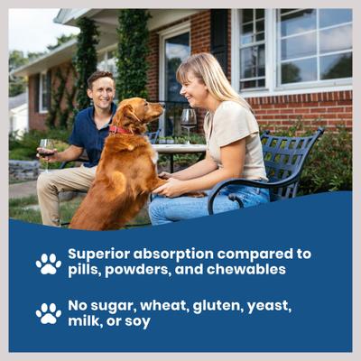 Extra Strength Glucosamine Hip & Joint Supplement for Dogs, 16-fl oz