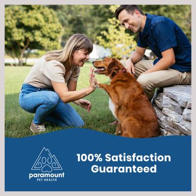 Extra Strength Glucosamine Hip & Joint Supplement for Dogs, 16-fl oz