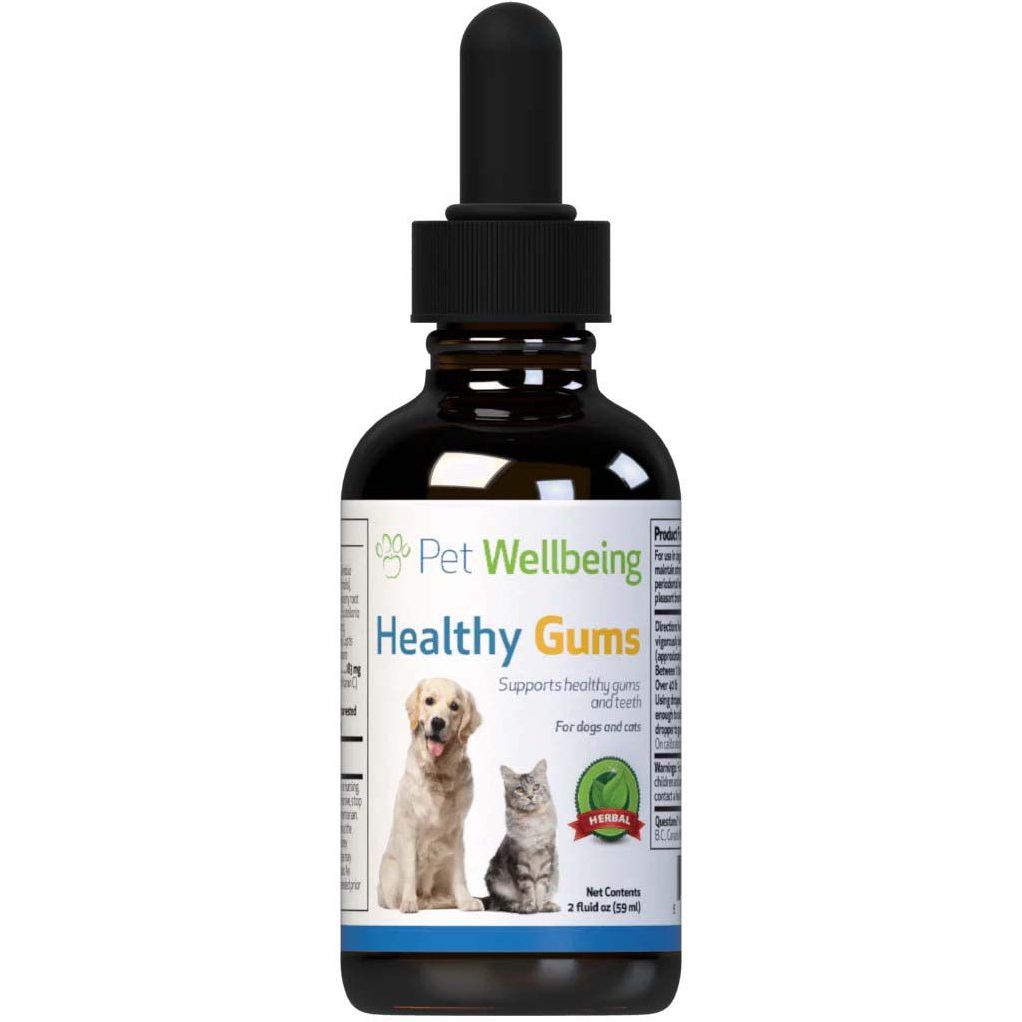 REV Healthy Gums Liquid Dental Supplement. 60 ml. - Pet Wellbeing
