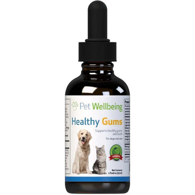 REV Healthy Gums Liquid Dental Supplement. 60 ml. - Pet Wellbeing