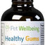 Healthy Gums Liquid Dental Supplement for Cats & Dogs, 2-oz bottle