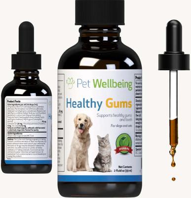 Healthy Gums Liquid Dental Supplement for Cats & Dogs, 2-oz bottle
