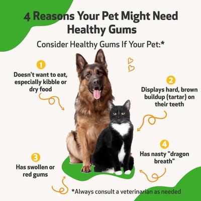 Healthy Gums Liquid Dental Supplement for Cats & Dogs, 2-oz bottle