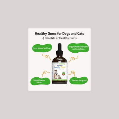 Healthy Gums Liquid Dental Supplement for Cats & Dogs, 2-oz bottle