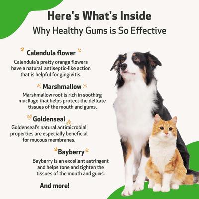 Healthy Gums Liquid Dental Supplement for Cats & Dogs, 2-oz bottle