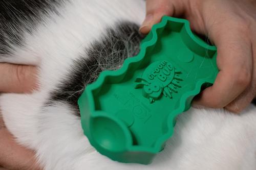 GroomBug Cat Brush, Green, Medium