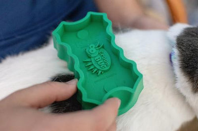 GroomBug Cat Brush, Green, Medium