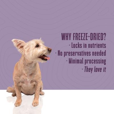 Nature's Remedy Whole Body Health Whole Freeze-Dried Dog Treats, 12-oz bag