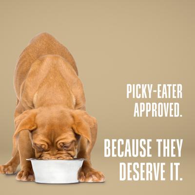 Nature's Remedy Whole Body Health Whole Freeze-Dried Dog Treats, 12-oz bag