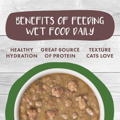 Classic Cat Stewy Lewis Lamb, Chicken & Salmon in Gravy Stew Canned Cat Food, 5.5-oz can, case of 8