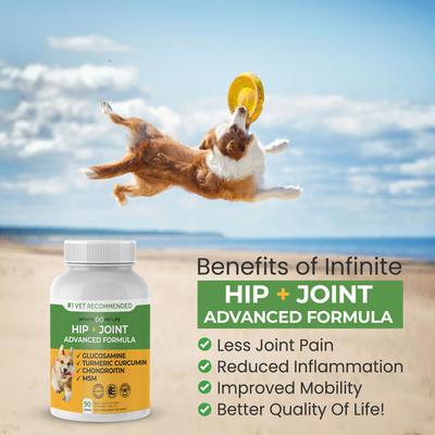 Hip & Joint Advanced Formula Beef Liver Flavor Dog Supplement, 90 count