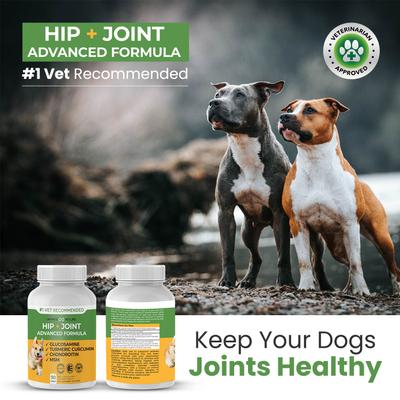 Hip & Joint Advanced Formula Beef Liver Flavor Dog Supplement, 90 count
