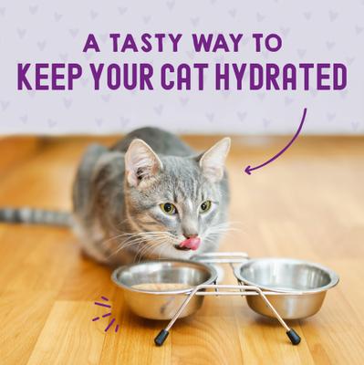 Carnivore Cravings Chicken & Tuna Flavored Shredded Wet Cat Food, 2.8-oz pouch, case of 24