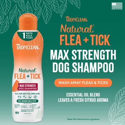 Maximum Strength Natural Flea & Tick Treatment Dog Shampoo, 20-fl oz bottle
