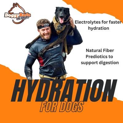 Unleashed Hydration + Prebiotics Sport Drink Chicken Flavored Digestive Supplement for Dogs, 8.4-oz pouch
